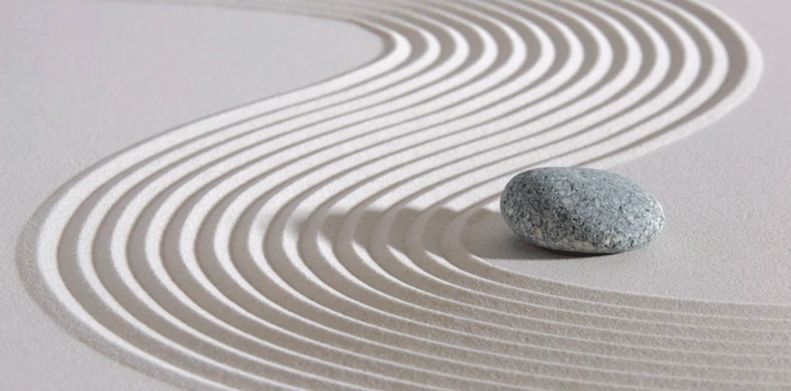 ¡Transforma tu día y aumenta tu productividad al máximo!